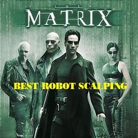 Matrix scalp with source code